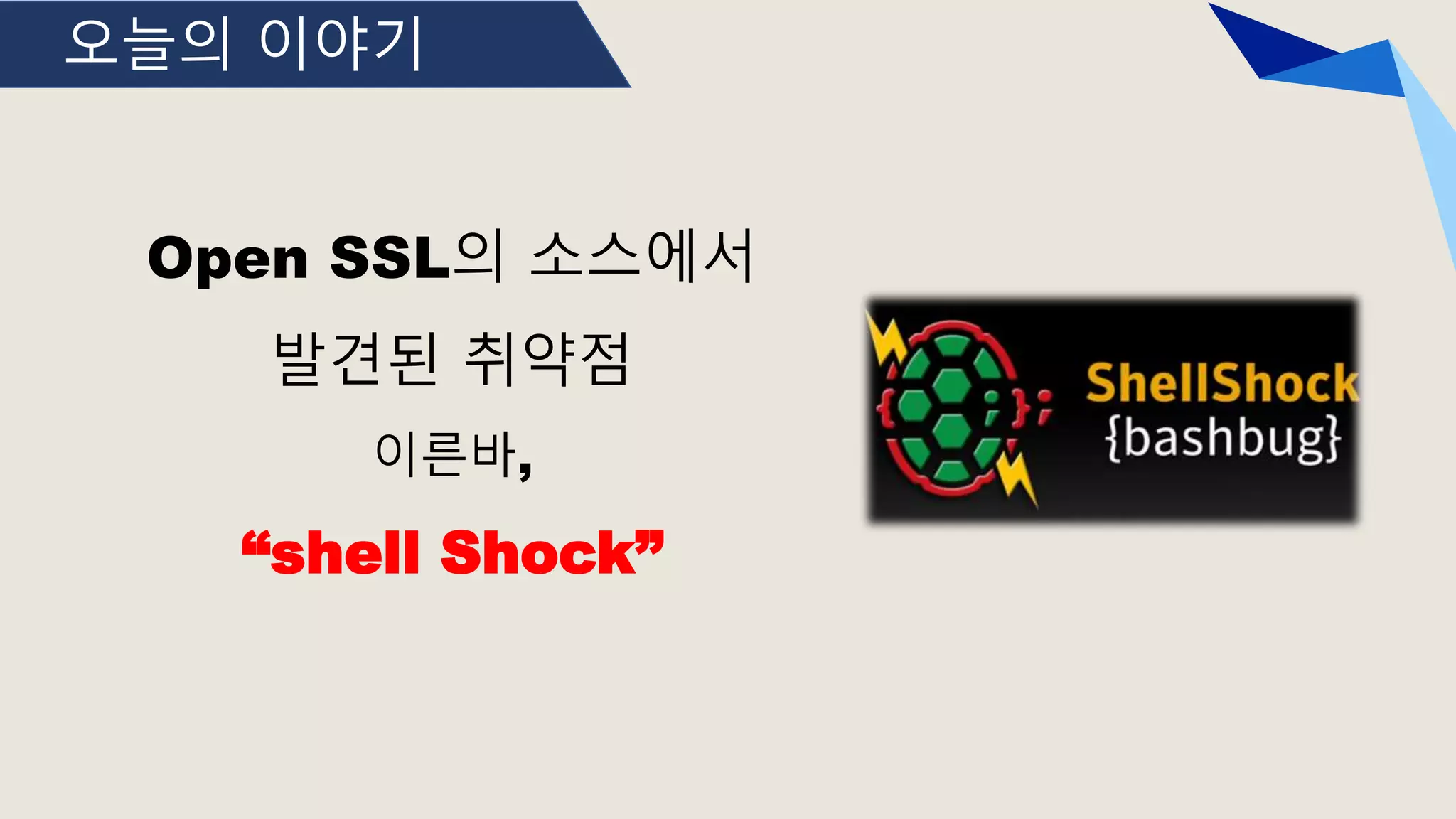 오늘의 이야기
Open SSL의 소스에서
발견된 취약점
이른바,
“shell Shock”
 