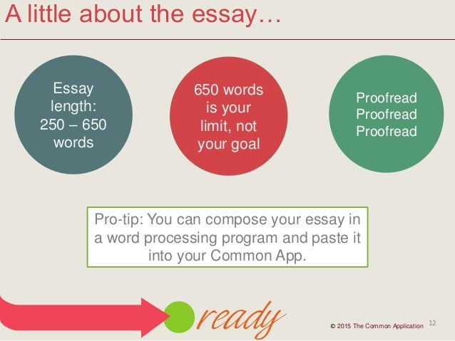 Common application essay length