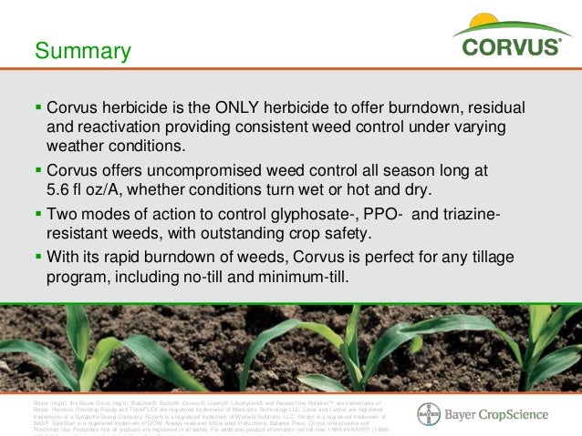 9 Images Verdict Herbicide Label
