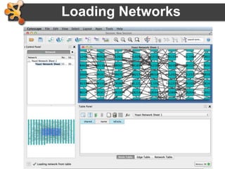 42
Loading Networks
• Use import network from file
– Excel file
– Comma or tab delimited text
 