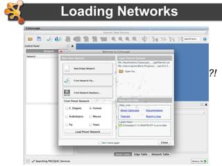 43
Loading Networks
• Use import network from file
– Excel file
– Comma or tab delimited text
• But what if I don’t have any network files?!
 