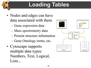 44
Loading Tables
• Nodes and edges can have
data associated with them
– Gene expression data
– Mass spectrometry data
– Protein structure information
– Gene Ontology terms, etc.
• Cytoscape supports
multiple data types:
Numbers, Text, Logical,
Lists...
 