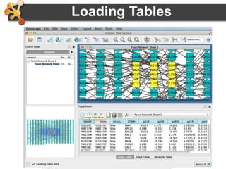 45
• Use import table from file
– Excel file
– Comma or tab delimited text
Loading Tables
 
