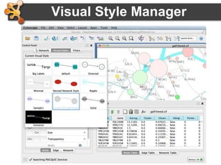 46
Visual Style Manager
• Click on Visual Styles tab
– Default, Mapping, Bypass
 