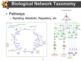 11
Biological Network Taxonomy
• Pathways
– Signaling, Metabolic, Regulatory, etc
 