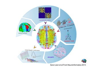Sanz Leon et al Front NeuroInformatics 2013
 