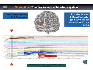 Simulation: Complex seizure – the whole system
Task: Spread between
both hippocampi
Run simulations:
Different epilepto-
g...