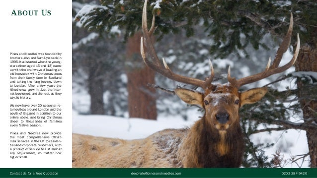 Christmas Decoration Service Marketing Brochure