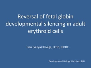 Reversal of fetal globin
developmental silencing in adult
erythroid cells
Ivan (Vanya) Krivega, LCDB, NIDDK
Developmental Biology Workshop, NIH
 