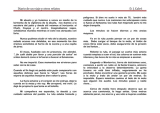 Diario de un viaje y otros relatos D. J. Calvó
Mi abuelo y yo huíamos a veces en medio de la
tormenta de la vigilancia de la abuela, nos íbamos a la
escalera del patio y desde allí veíamos el horizonte: el
Chañi, Cuyaya y el centro. Imaginábamos viajes,
soñábamos mundos mientras el cielo nos abrazaba con
furia.
Nunca pudimos eludir el reto de la abuela, nuestro
estado acuoso nos delataba, en ese momento los dos
éramos sometidos al horno de la cocina y a una copita
de jerez.
El mozo, hastiado con mi presencia, me atendió.
“_Un café doble por favor y una porción de selva” mi
orden demoró como si la fueran a buscar al Amazonas.
No me importó. Esos momentos me sirvieron para
estar cerca de casa.
Cuando al fin llegó mí pedido sólo pude compararlo con
aquellas delicias que hacía la “abue”. Las horas de
espera de aquellos manjares bien valían la pena.
La lluvia amaina y el corazón se me estruja, dejo la
cuenta en la mesa y me voy. Me arrepentí, me volví. Le
dejé de propina lo que tenía en el bolsillo.
Mi compañera me esperaba, la desaté y con
cuidado salimos del pueblo. La ruta estaba húmeda y
peligrosa. Si bien no suelo ir más de 70, tendré más
cuidado que nunca. Los camiones me sobrepasan como
si fuese un fantasma; las rutas han mejorado pero no me
dejan tranquila.
Los minutos se hacen eternos y mis ansias
mayores.
Ya en la ruta puedo pensar en un par de cosas
más. Debo cargar el tanque de la moto, el bidón de
cinco litros está vacío, debo asegurarme de la presión
de las llantas…
Retomé la ruta, el paisaje se vuelve más ameno
cuando empieza a caer el sol, los colores se vuelven más
intensos y las luces de la ruta se empiezan a asomar.
Llegando a Monterrico, tierra de dulcísimas uvas,
comienzo a sentir un ruido en la llanta trasera, aminoro
la velocidad y la observo detenidamente. La goma
trasera no está bien inflada, seguramente se ha
pinchado. Debo encontrar una gomería pronto. Me subo
a la moto y trato de andar un par de metros. Es
imposible. Espero mientras camino al lado de la moto
que alguien me auxilie. Los minutos pasan y nadie
viene…
Cerca de media hora después observo que se
acerca una camioneta, le hago señas. Unos metros
adelante paran, me acerco y veo sólo a mujeres vestidas
 