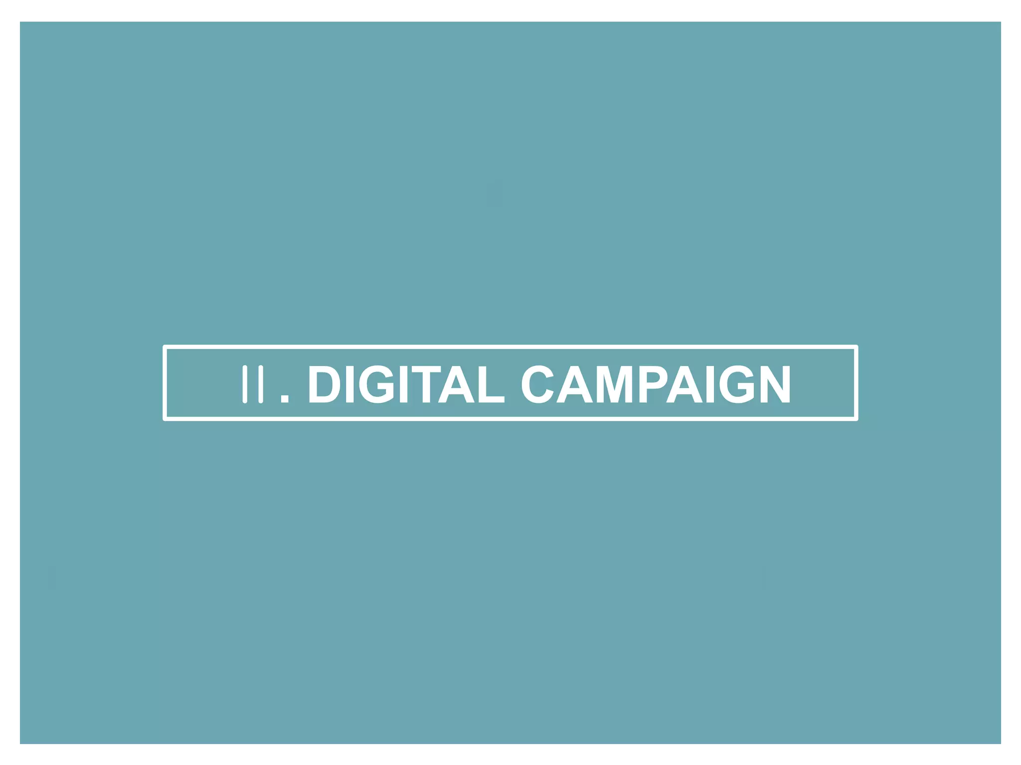 Ⅱ. DIGITAL CAMPAIGN
 