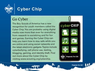 Cyber Chip
5
 