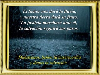 El Señor nos dará la lluvia,
y nuestra tierra dará su fruto.
La justicia marchará ante él,
la salvación seguirá sus pasos.
Muéstranos, Señor, tu misericordia
y danos tu salvación.
 
