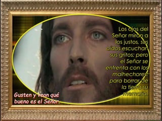 Gusten y vean qué
bueno es el Señor.
Los ojos del
Señor miran a
los justos, sus
oídos escuchan
sus gritos; pero
el Señor se
enfrenta con los
malhechores,
para borrar de
la tierra su
memoria.
 