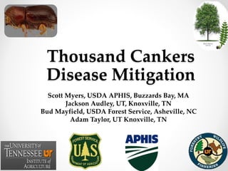 Thousand Cankers
Disease Mitigation
Scott Myers, USDA APHIS, Buzzards Bay, MA
Jackson Audley, UT, Knoxville, TN
Bud Mayfield, USDA Forest Service, Asheville, NC
Adam Taylor, UT Knoxville, TN
 
