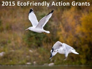 2015 EcoFriendly Action Grants
 