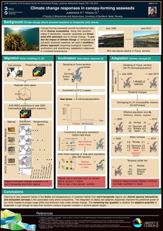XVth Congress of the European Society for Evolutionary Biology, Lausanne, Switzerland, August 10th–14th 2015 alj@uin.no
Climate change responses in canopy-forming seaweeds
Jueterbock A.1
, Hoarau G.1
1 Faculty of Biosciences and Aquaculture, University of Nordland, Bodø, Norway
Background Climate change affects seaweed meadows on temperate rocky shores
Canopy-forming seaweeds provide foundational habi-
tat for diverse ecosystems. Along their southern
edges of distribution, however, seaweeds are threat-
ened with extinction due to climate change. To pre-
dict the impact of climate change on temperate and
sub-polar seaweed meadows, we used a multidisci-
plinary approach integrating ecological (migration,
acclimation) and evolutionary (adaptation) responses
to increased temperatures.
year 1999 year 2010
90% abundance decline in Fucus serratus
Migration Niche modeling [1], [4]
Present-day conditions [5]Occurrences
Variable 1
Variable 2
Variable 3
Realized niche space
2100
Species Distribution
predictions
Range-limiting
factors
TEMPERATEREGIONARCTICREGION
Biggest ecological changes expected in the
warm temperate and Arctic regions
A1B SREC predictions to year 2200
(intermediate CO2 emission scenario)
Fucus serratus
Fucus
vesiculosus
Ascophyllum
nodosum
Fucus distichus
MinimumSST(◦
C)MeanSST(◦
C)
Max.SST(◦
C)
MeanSAT(◦
C)
Min.Diff.Atten.(m−1
)MeanSalinity(PSU)MeanNitrate(moll−1
)Min.Chlorophyll(mg/m3
)MeanCalcite(mol/m3
)
SST (◦
C)
SAT (◦
C)
Variable 1Variable 2
Variable 3
Acclimation Heat-stress response [3]
Sampling of Fucus serratus
Norway
Denmark
Brittany
Spain
Acclimation at 9◦
C, 4 weeks
Heat stress, 6 individuals/population
1h Stress 24h Recovery
9◦
C
20◦
C
24◦
C
28◦
C
32◦
C
36◦
C
T (◦
C)
Time
Highest risk of extinction from an ancient
glacial refugium in Spain.
Risk to lose unique genetic variation
Constitutive shsp gene expression
before heat shock
23 weeks acclimation
7 weeks acclimation
Normalizedexpression
High constitutive
stress in Spain
Heat shock response of shsp gene expression
after 24h recovery
Foldchange
Reduced
responsiveness
in Spain
Adaptation Genetic changes [2]
Adaptive responsiveness highest in Brittany
and likely insufﬁcient in Spain
Sampling of Fucus serratus
(50-75 indiviuals/population)
∼ year 2000 ∼ year 2010
Spatial(environmental)
effects
Temporal changes
1 decade of
selection
Genotyping for 31 microsatellite markers
(20 EST-linked)
Effective population size Ne
(Reﬂecting adaptive capacity))
∼ 2000 ∼ 2010
18
63
207
23
Norway
Denmark
Brittany
Spain
32
61
210
26
Allelic richness
∼ 2000 ∼ 2010
3.1
4.6
8.0
4.0
Norway
Denmark
Brittany
Spain
3.3
4.8
7.9
4.6
Signiﬁcant
decline
Temporal outlier loci
0%
6%
23%
13%
Norway
Denmark
Brittany
Spain
References
[1] Jueterbock, A.; Tyberghein, L.; Verbruggen, H.; Coyer, J.A.; Olsen, J.L. & Hoarau, G. (2013): Climate change impact on seaweed meadow distribution in the North Atlantic rocky intertidal.
Ecology; Evolution 5(3):1356–1373
[2] Jueterbock, A. (2013): Climate change impact on the seaweed Fucus serratus, a key foundational species on North Atlantic rocky shores. PhD Thesis, University of Nordland
[3] Jueterbock, A.; Kollias, S.; Smolina, I.; Fernandes, J.M.O.; Olsen, J.L.; Coyer, J.A. & Hoarau, G. (2014): Thermal stress resistance of the brown alga Fucus serratus along the North-Atlantic
coast: Acclimatization potential to climate change. Marine Genomics 24393606
[4] Jueterbock, A.; Smolina, I.; Coyer, J.A. & Hoarau G. (In Preparation): The fate of arctic Fucus distichus under climate change: an ecological niche modeling approach.
[5] Tyberghein, L.; Verbruggen, H.; Pauly, K.; Troupin, C.; Mineur, F. & De Clerck, O. (2011): Bio-ORACLE: a global environmental dataset for marine species distribution modelling. Global Ecol.
Biogeogr. 21(2):272–281
Conclusions
Opening of new seaweed habitat in the Arctic and disappearance of seaweed habitat from warm-temperate regions can disturb species interactions
and ecosystem services in the associated rocky-shore ecosystems. The integration of plastic and adaptive responses improved the predictive power of
our niche models to project range shifts and extinction risks under climate change. The remaining key question is whether the adaptive potential of
seaweeds is high enough to save their southern centers of genetic variation in ancient glacial refugia.
 