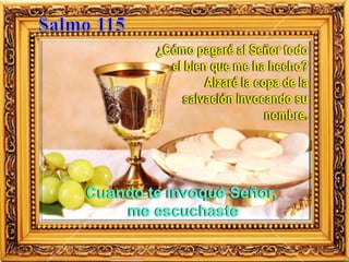 ¿Cómo pagaré al Señor todo
el bien que me ha hecho?
Alzaré la copa de la
salvación invocando su
nombre.
Cuando te invoqué Señor,
me escuchaste
 