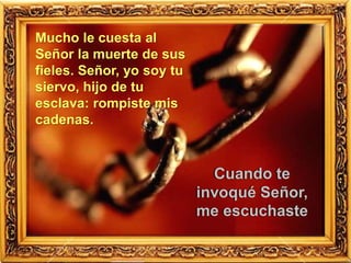 Mucho le cuesta al
Señor la muerte de sus
fieles. Señor, yo soy tu
siervo, hijo de tu
esclava: rompiste mis
cadenas.
Cuando te
invoqué Señor,
me escuchaste
 