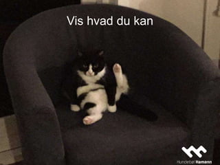 Vis hvad du kan
 