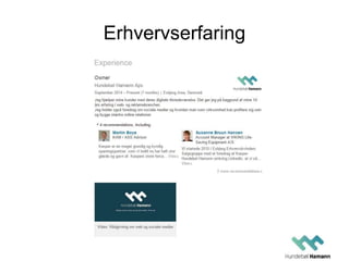 Erhvervserfaring
 