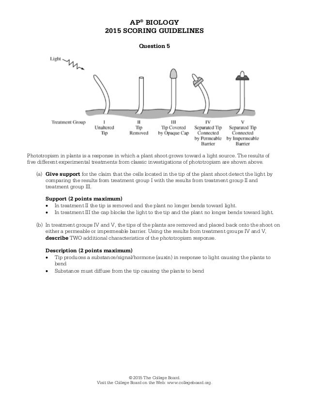 Ap biology essay questions about plants