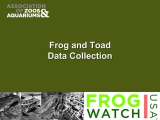 Frog and Toad
Data Collection
 