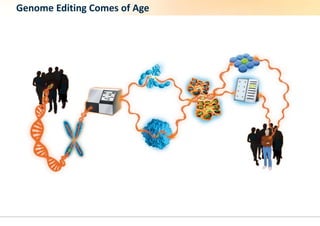 Genome Editing Comes of Age; CRISPR, rAAV and the new landscape of ...