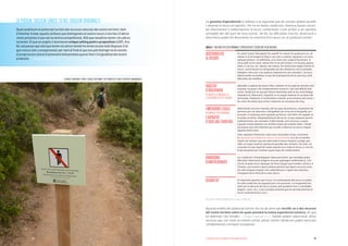 292. DISSENYAR UNA EXPERIÈNCIA D’ECOTURISME ATRACTIVA 2. DISSENYAR UNA EXPERIÈNCIA D’ECOTURISME ATRACTIVA
SI PODEM, SIGUEM ÚNICS; SI NO, SIGUEM ORIGINALS
Quananalitzemelpotencialturísticdelrecursosnaturalsdelnostreterritori,hem
d’intentartrobaraquellsatributsquedistingeixenelnostrerecursoterritorid’altres
zonespròximes(iquesónlanostracompetència).Allòquenosaltrestenimielsaltres
notenen.Elqueenanglèsn’anomenenuniquesellingpointoproposition(USP).Ara
bé,solpassarqueallòquetenimelsaltrestambéhotenen(costamoltdisposard’al-
gunrecursúnicoexcepcional)ipertantalfinalelqueenspotdistingirnoésnomés
elpropirecurssinóeltractamentinterpretatiuqueenfemil’originalitatdelnostre
producte. —>Vegeu també 3.1.2.
ALGUNS ITINERARIS TENEN L’ACCÉS RESTRINGIT EN ÈPOQUES DE CRIA D’ESPÈCIES AMENAÇADES.
La garantia d’operativitat es refereix a la seguretat que els turistes podran accedir
i observar el recurs en qüestió, i fer-ho en bones condicions. Diversos factors associ-
ats directament o indirectament al recurs condicionen si pot arribar a ser operatiu
(visitable) des del punt de vista turístic. De fet, les dificultats d’accés, observació o
altra mena poden fer desestimar la conversió d’un recurs en un producte turístic.
TAULA 6 | FACTORS PER DETERMINAR L’OPERATIVITAT TURÍSTICA D’UN RECURS
ACCESSIBILITAT
AL RECURS
En cotxe? A peu? Bussejant? En vaixell? En canoa? En qualsevol cas, cal
valorar si el recorregut és llarg o curt, pla o costerut, requereix o no unes
aptituds prèvies i, en definitiva, si és molt o poc exigent físicament. Si
cal accedir-hi en cotxe, valorar fins on es pot arribar, si hi ha prou aparca-
ment, si cal 4x4, etc. Valorar, així mateix, les restriccions legals d’accés al
recurs, sovint durant les temporades de més afluència o bé en períodes
biològics crítics per a les espècies (reproducció, per exemple). L’accessi-
bilitat també cal analitzar-la des de la perspectiva de les persones amb
dificultats de mobilitat.
FACILITAT
D’OBSERVACIÓ
(LLIGADA A LA BIOLOGIA O A
L’ESTACIONALITAT DEL RECURS)
Aplicable a espècies de fauna i flora, sobretot. Hi ha espècies animals molt
esquives, escasses o de comportaments nocturns, i per tant difícils d’ob-
servar. També pot ser que per factors relacionats amb el seu cicle biològic
(reproducció, hibernació, migració) no es puguin observar en un època de-
terminada. Finalment, hi ha fenòmens naturals (com la brama del cérvol o
els colors de tardor) que només s’observen en una època de l’any.
LIMITACIONS LEGALS
(PERMISOS I RESTRICCIONS)
I CAPACITAT
D’ACOLLIDA TURÍSTICA
Determinats recursos naturals, pel seu grau de protecció, requereixen de
permisos per ser observats o fotografiats (en el cas de la fotografia, per
exemple, a Catalunya està regulada pel Decret 148/1992). De vegades és
la pròpia activitat, independentment del recurs, la que requereix permís
(submarinisme, per exemple). D’altra banda, certs recursos o espais
naturals només admeten un nombre màxim de visitants diaris. També
pot passar que certs itineraris per accedir o observar un recurs tinguin
algunes restriccions.
Totes aquestes limitacions solen anar associades al que s’anomena
la capacitat d’acollida d’un recurs o d’un territori, és a dir, el nombre
màxim de visitants que pot rebre amb el menor impacte ecològic pos-
sible i el major nivell de satisfacció possible dels visitants. Per tant, cal
consultar el marc legal de l’espai natural on es troba el recurs (i, si en té,
el pla de gestió) per conèixer aquest tipus de condicionants.
CONDICIONS
CLIMATOLÒGIQUES
Les condicions climatològiques (boira persistent, per exemple) poden
dificultar l’observació d’alguns recursos (paisatges emblemàtics), o bé
l’accés al propi recurs (èpoques de fortes pluges que inunden camins). A
l’inrevés, una estació o època plujosa permet que alguns recursos (com
els salts d’aigua) estiguin més esplendorosos i siguin més atractius.
Coneguem bé el clima de la zona, doncs.
SEGURETAT És important garantir que l’accés i la contemplació del recurs es poden
fer amb condicions de seguretat per a les persones. La inseguretat pot
venir per la ubicació del recurs (zones amb pendents forts o estimballs
propers, coves, etc.), o per la pròpia activitat que ens permet observar el
recurs (submarinisme, p.ex.)
FONT: ADAPTAT A PARTIR DE QUADERNA (2011) I DE JUAN, J.M. (2004-2011).
Aquesta anàlisi del potencial turístic ens ha de servir per escollir un o dos recursos
del nostre territori sobre els quals pivotarà la nostra experiència turística, els que
en definiran l’eix temàtic. —>Vegeu l’apartat 2.4.1. També podem seleccionar altres
recursos que, tot i tenir un interès turístic potser menor, també ens poden servir per
complementar o enriquir la proposta.
28
 