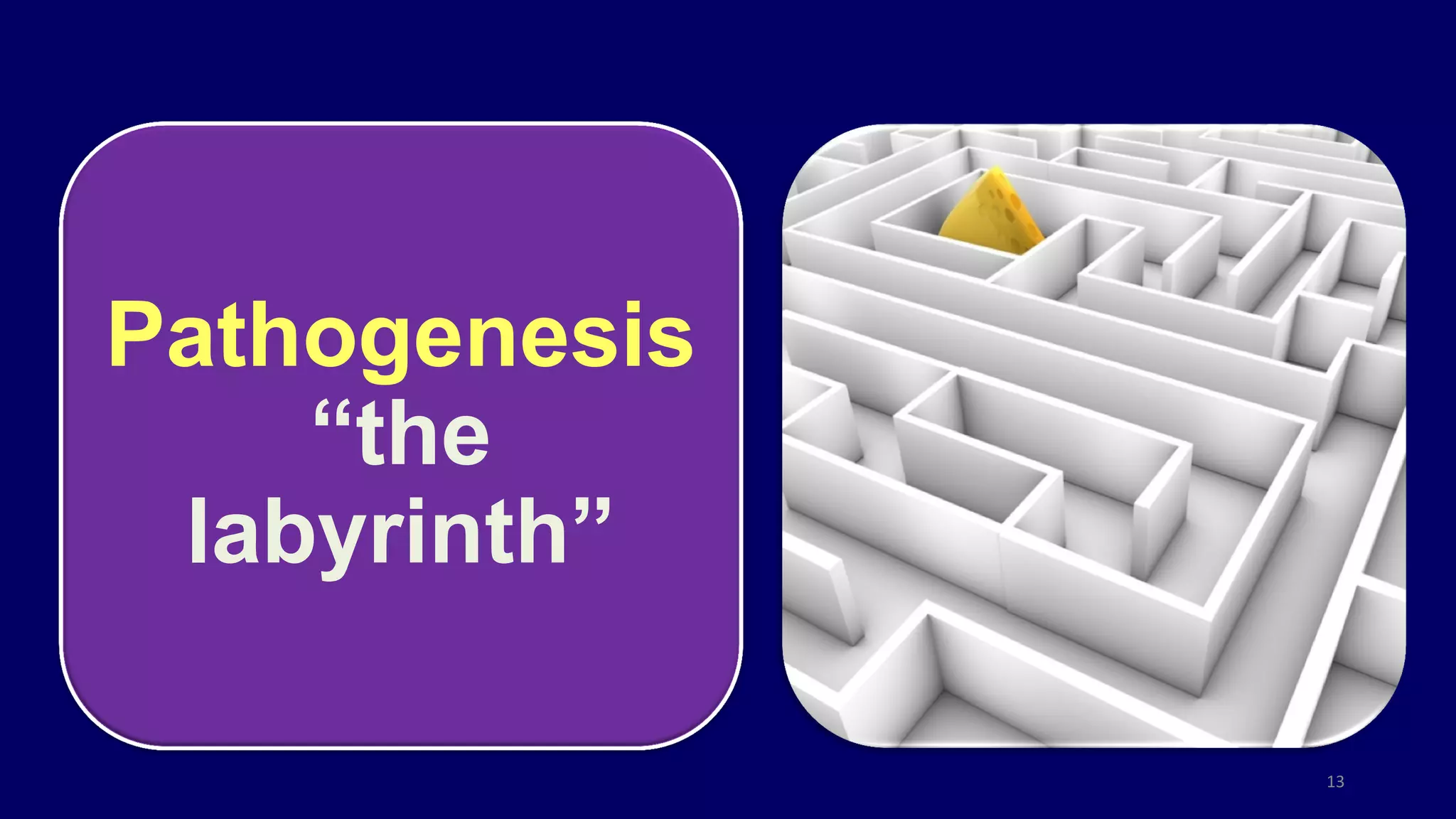 Pathogenesis
“the
labyrinth”
13
 