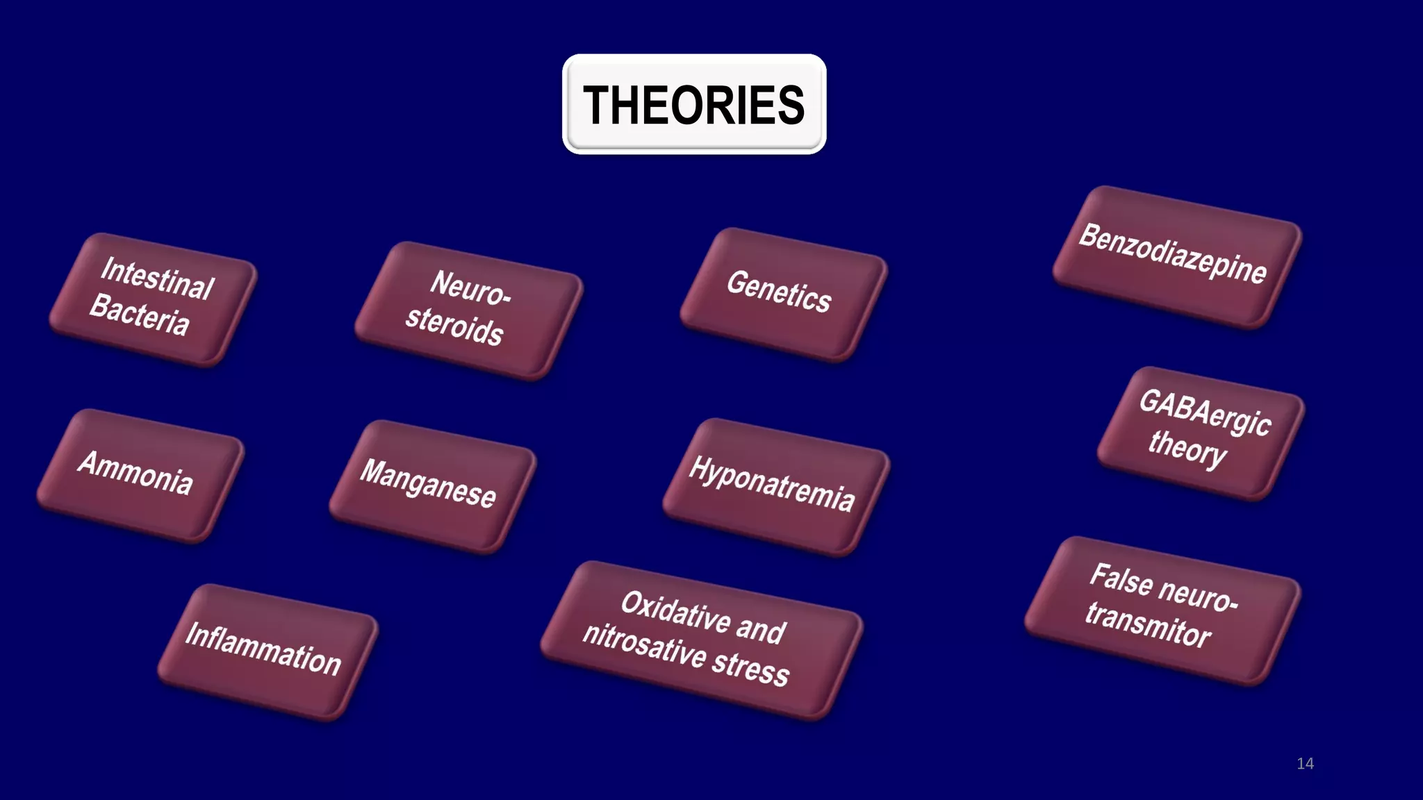 14
THEORIES
 