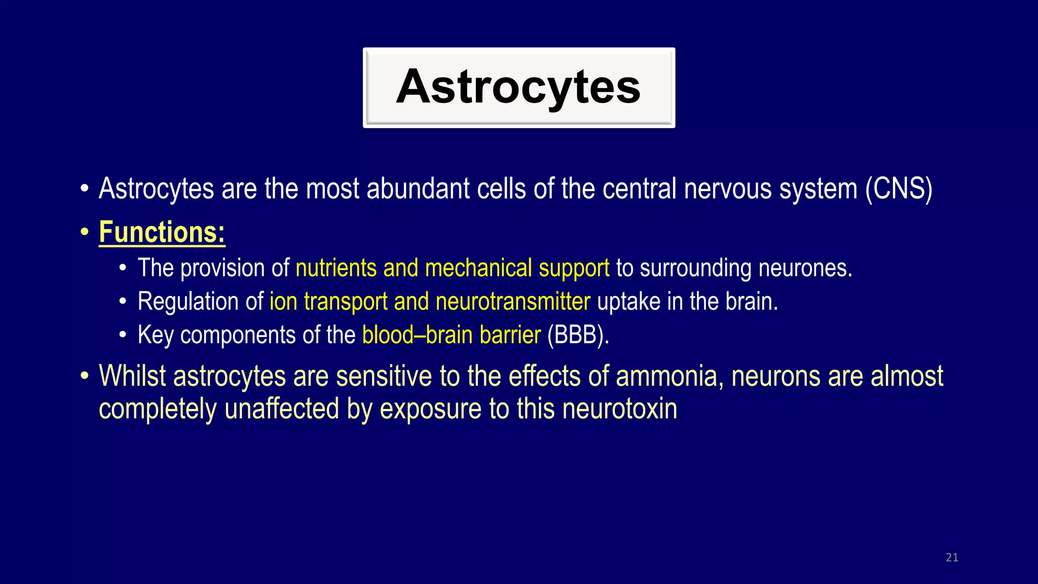 Astrocytes
• Astrocytes are the most abundant cells of the central nervous system (CNS)
• Functions:
• The provision of nutrients and mechanical support to surrounding neurones.
• Regulation of ion transport and neurotransmitter uptake in the brain.
• Key components of the blood–brain barrier (BBB).
• Whilst astrocytes are sensitive to the effects of ammonia, neurons are almost
completely unaffected by exposure to this neurotoxin
21
 