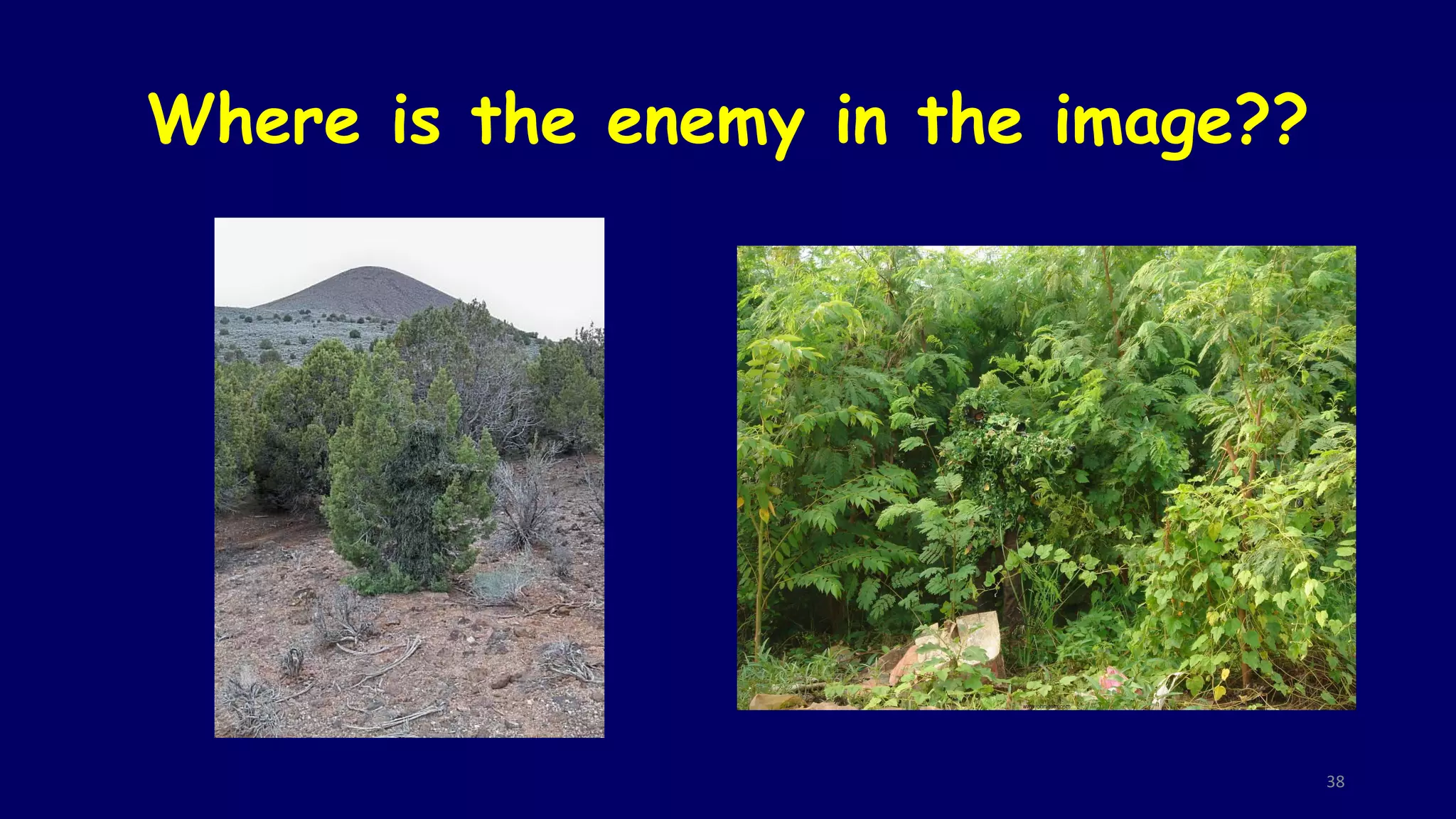 Where is the enemy in the image??
38
 