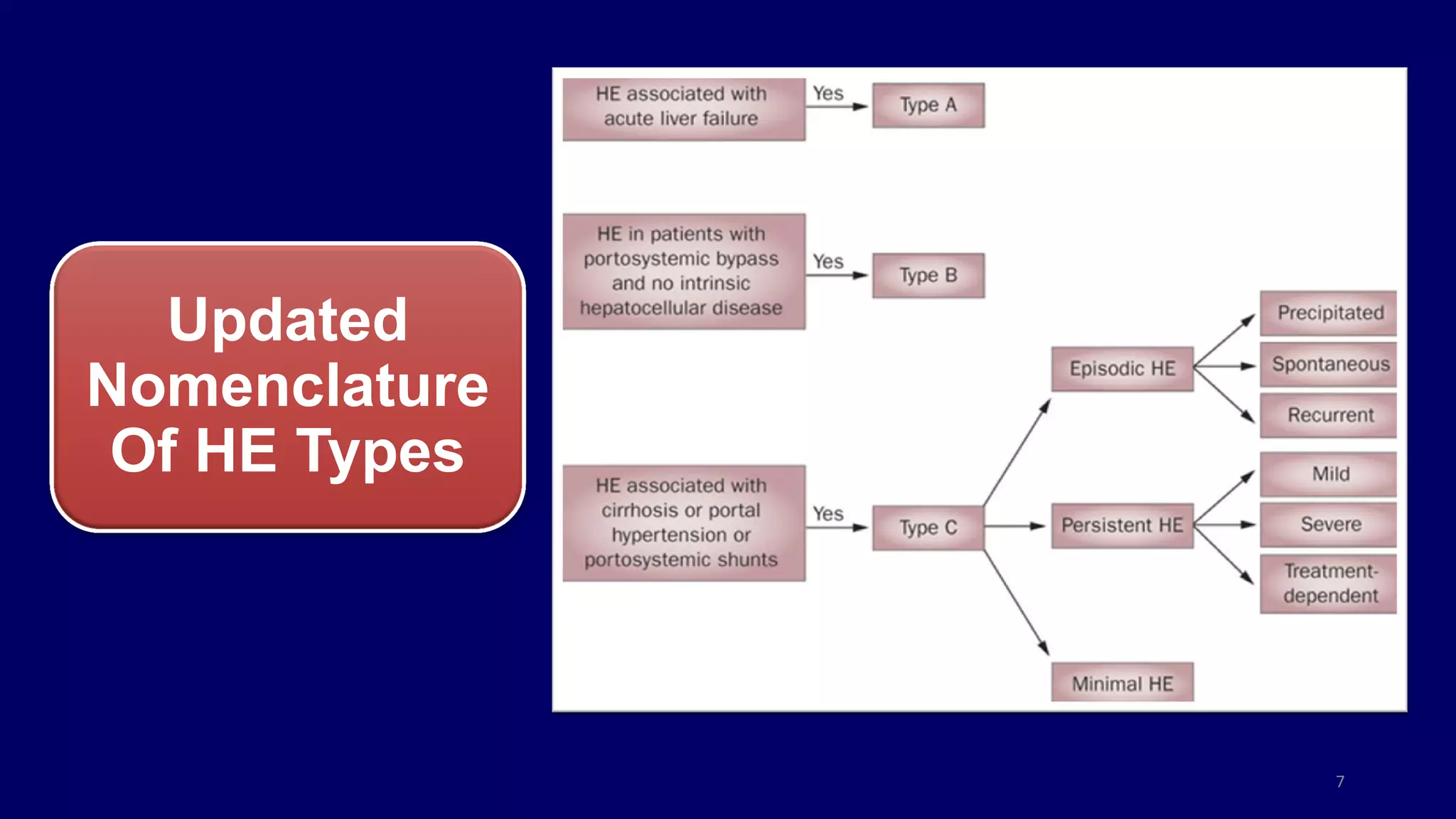 Updated
Nomenclature
Of HE Types
7
 