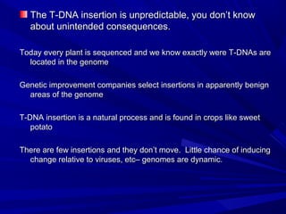 The T-DNA insertion is unpredictable, you don’t knowThe T-DNA insertion is unpredictable, you don’t know
about unintended consequences.about unintended consequences.
Today every plant is sequenced and we know exactly were T-DNAs areToday every plant is sequenced and we know exactly were T-DNAs are
located in the genomelocated in the genome
Genetic improvement companies select insertions in apparently benignGenetic improvement companies select insertions in apparently benign
areas of the genomeareas of the genome
T-DNA insertion is a natural process and is found in crops like sweetT-DNA insertion is a natural process and is found in crops like sweet
potatopotato
There are few insertions and they don’t move. Little chance of inducingThere are few insertions and they don’t move. Little chance of inducing
change relative to viruses, etc– genomes are dynamic.change relative to viruses, etc– genomes are dynamic.
 