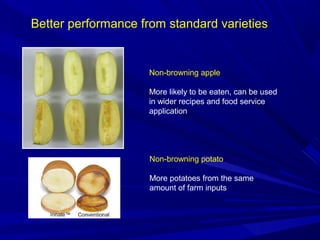 Better performance from standard varieties
Non-browning apple
More likely to be eaten, can be used
in wider recipes and food service
application
Non-browning potato
More potatoes from the same
amount of farm inputs
 