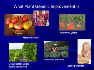 What Plant Genetic Improvement Is
More varieties
Grow better under
given conditions
Improved yields
Safer products
Improved nutrition
 