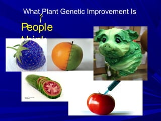 What Plant Genetic Improvement Is
People
t hink
Improved yields
 