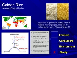 Biotech to Bakery - Impacts of Transgenic Crops on Your Industry | PPT
