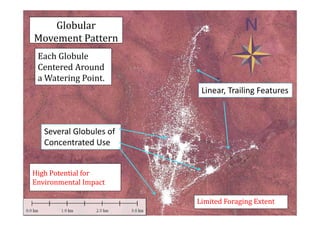 Determinants of migration and environmental spillovers of IBLI