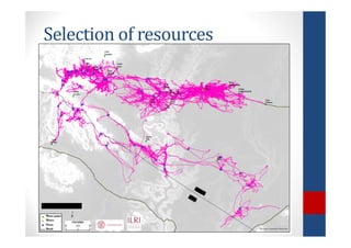 Determinants of migration and environmental spillovers of IBLI