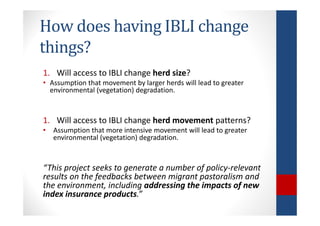 Determinants of migration and environmental spillovers of IBLI