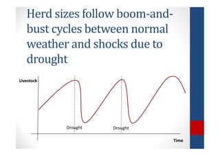 Determinants of migration and environmental spillovers of IBLI