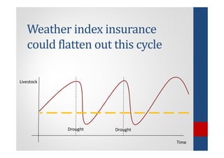 Determinants of migration and environmental spillovers of IBLI