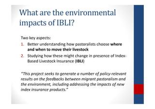 Determinants of migration and environmental spillovers of IBLI