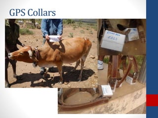 The design and implementation of index insurance initiatives: Three challenges for policy