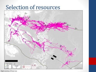 The design and implementation of index insurance initiatives: Three challenges for policy