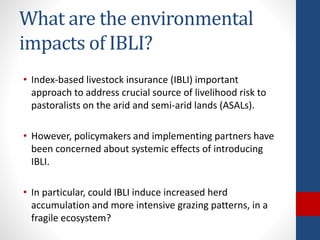 The design and implementation of index insurance initiatives: Three challenges for policy
