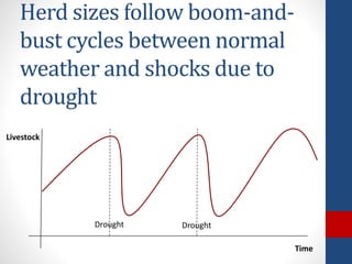The design and implementation of index insurance initiatives: Three challenges for policy