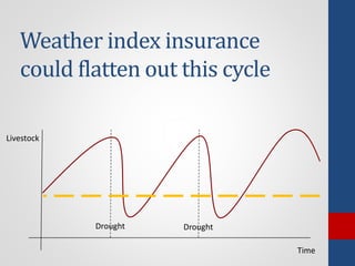 The design and implementation of index insurance initiatives: Three challenges for policy